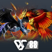 Sabong cm88y